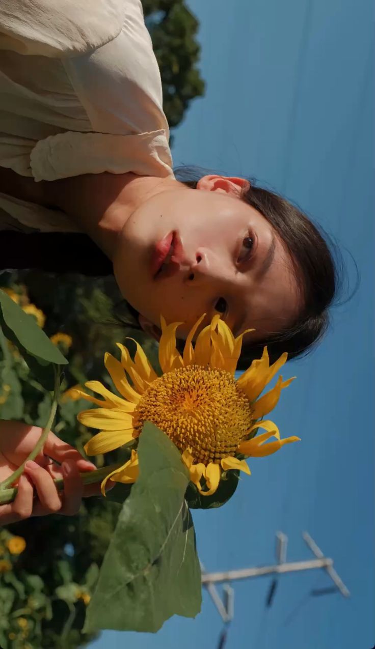 Daffodil flower shop display